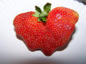000_0076.jpg