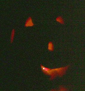 calebspumpkin.jpg