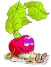 laidbackradish.jpg