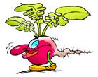 sillyradish.jpg